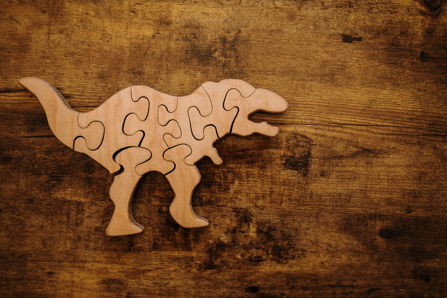 Double-Sided Tyrannosaurus Rex Puzzle