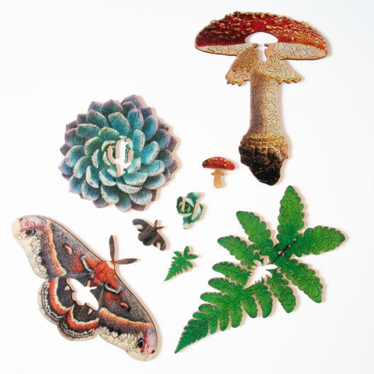 Mini Wooden Puzzles - Nervous System