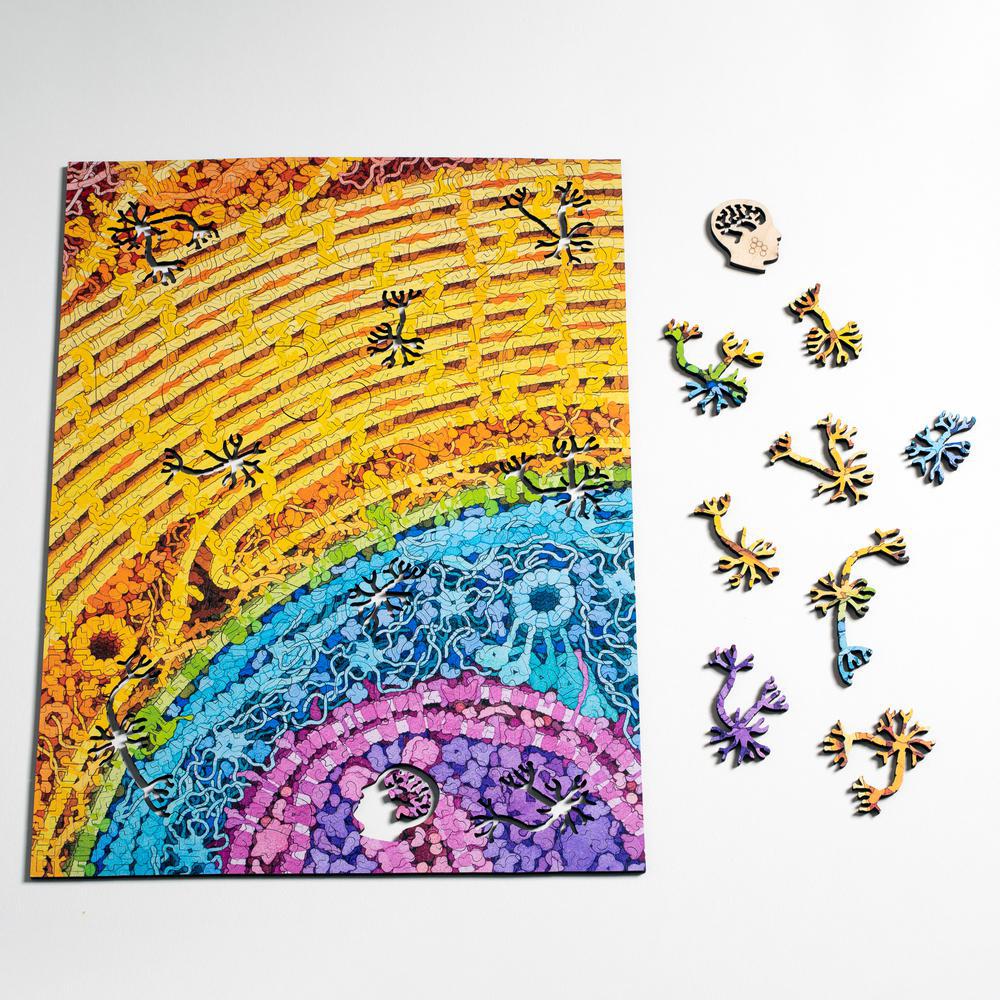 Neuron Puzzle